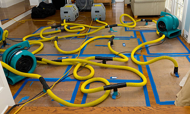 Professional Basement Flood Cleanup technician working in Rushford, MN